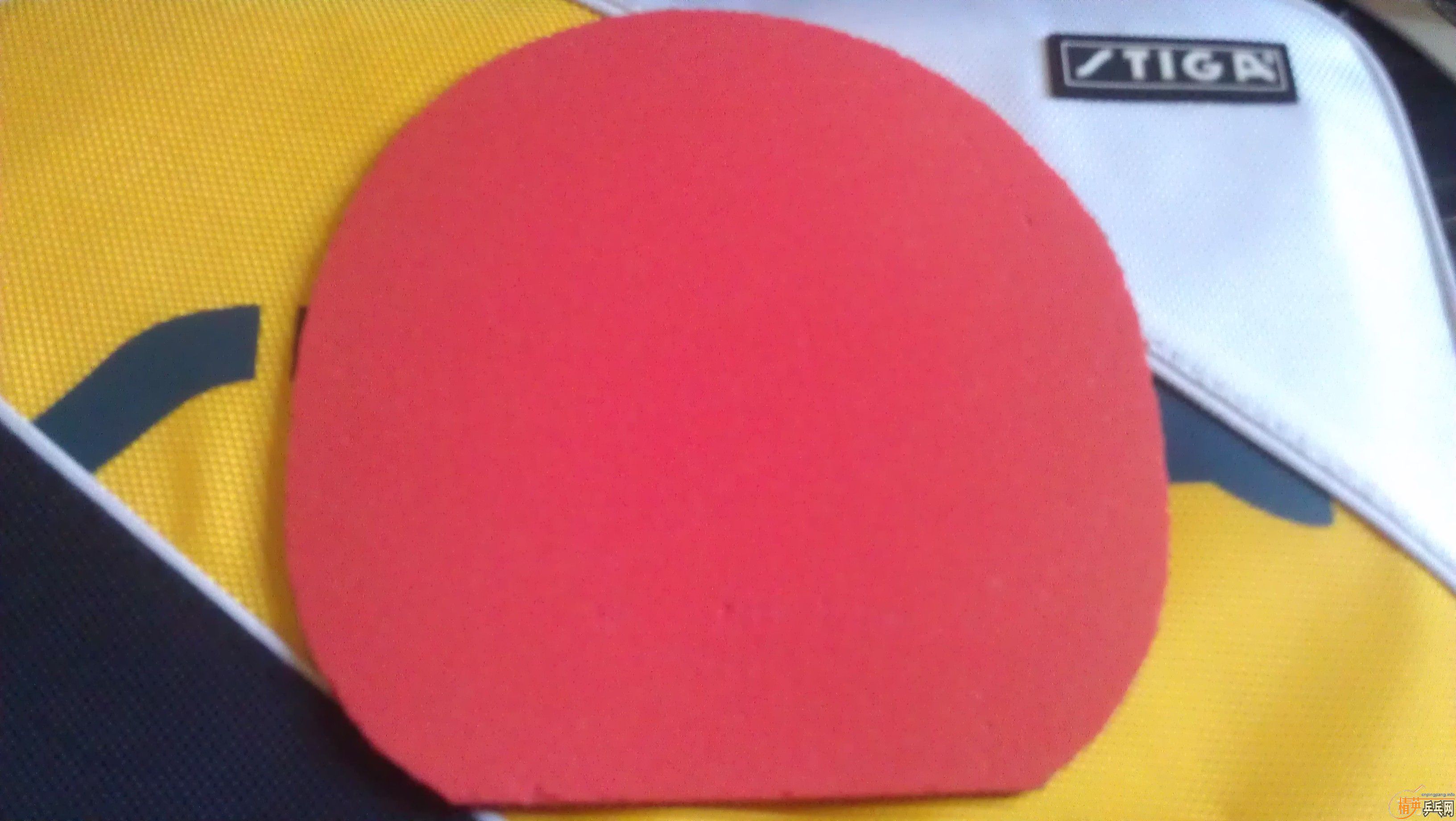 [��۳�ȫ��]NITTAKU���ִ���FLȫ��400������