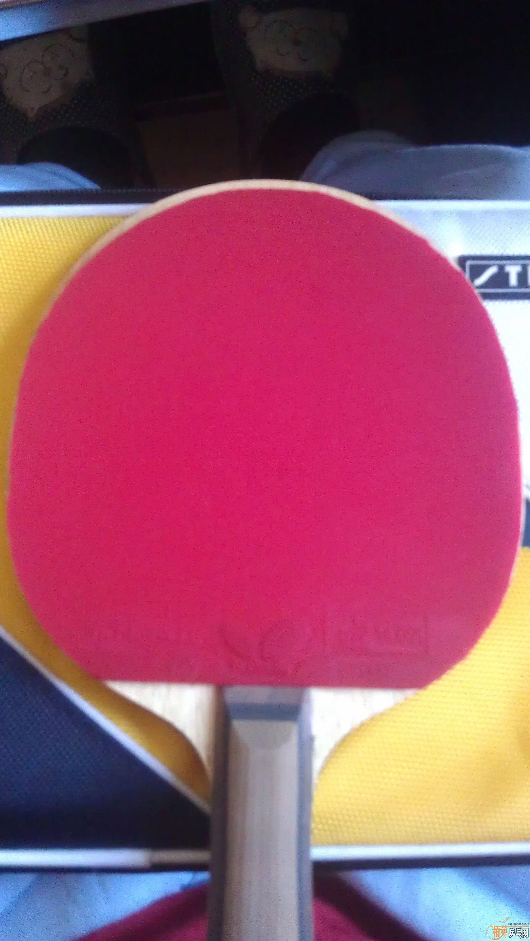 [��۳�ȫ��]NITTAKU���ִ���FLȫ��400������