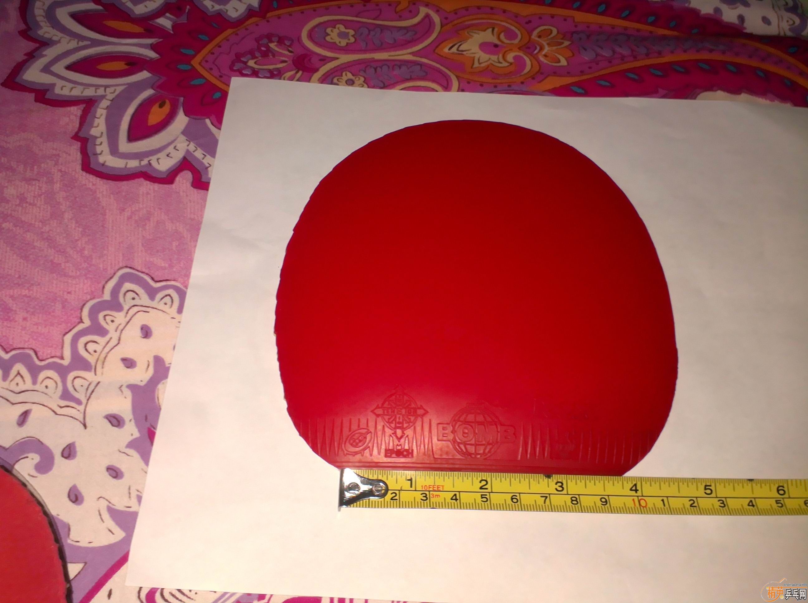 ���˲��������µĺ�ɫ �����򣬻���һ��Ʒ������¡������������˳��60Ԫ