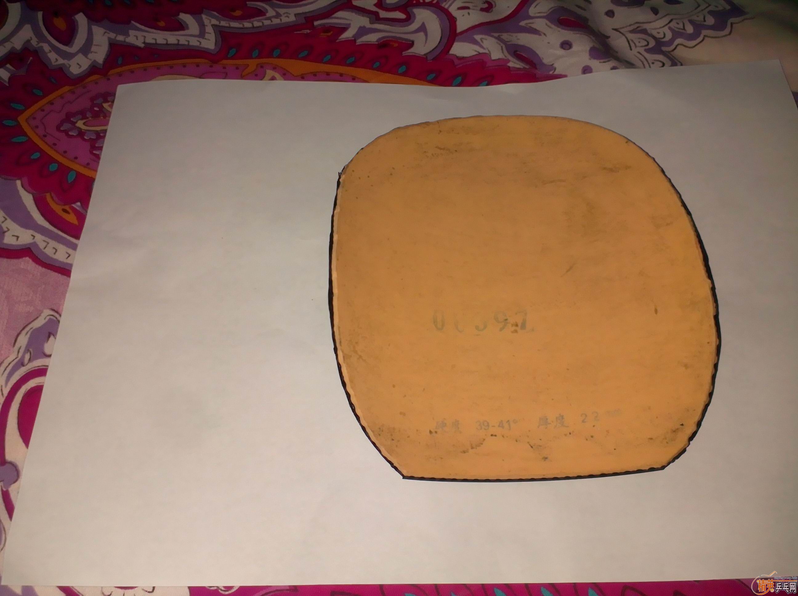 ���˲��������µĺ�ɫ �����򣬻���һ��Ʒ������¡������������˳��60Ԫ