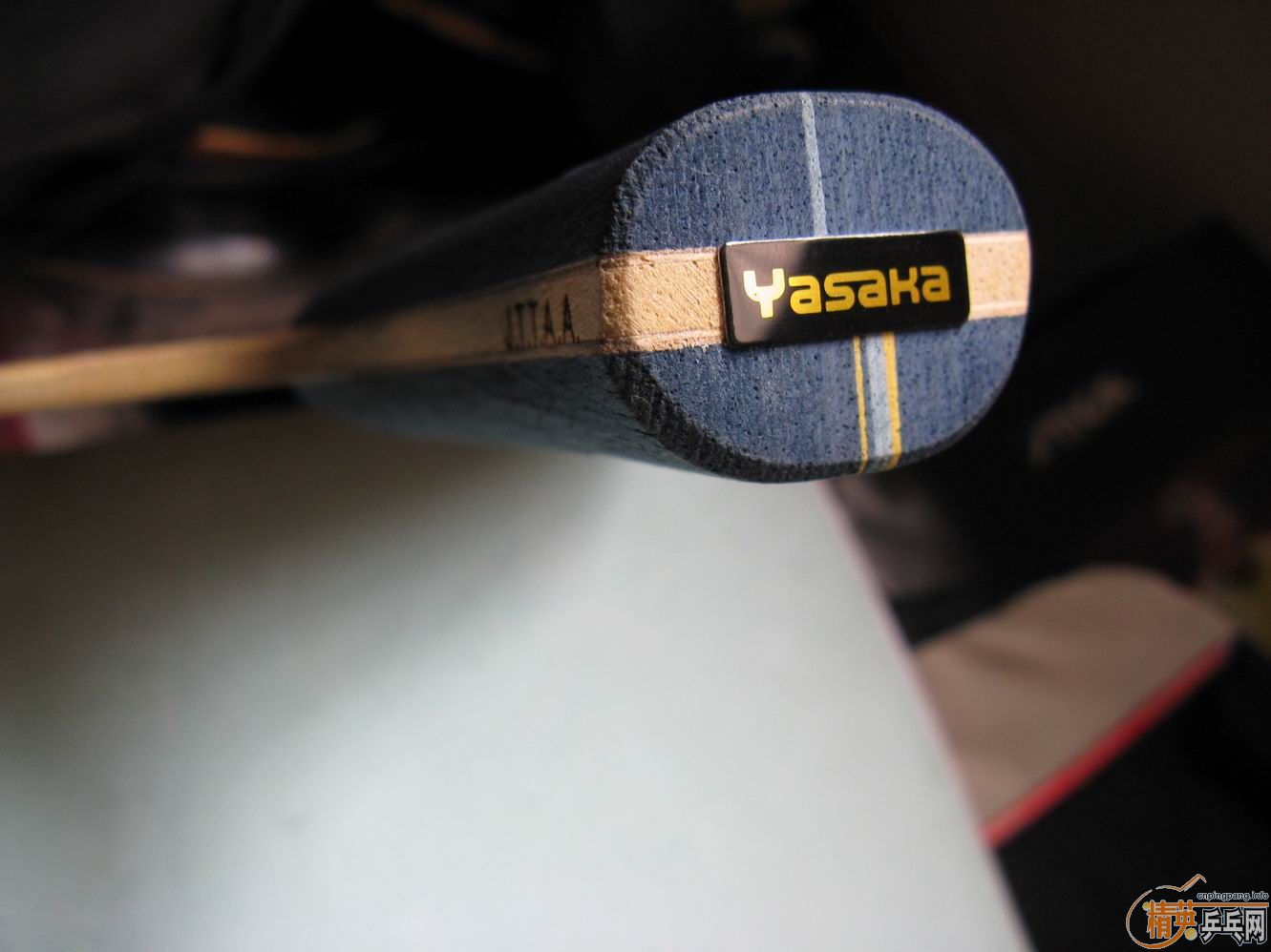 ����ST��ڣ�FL����YE��FL����OC