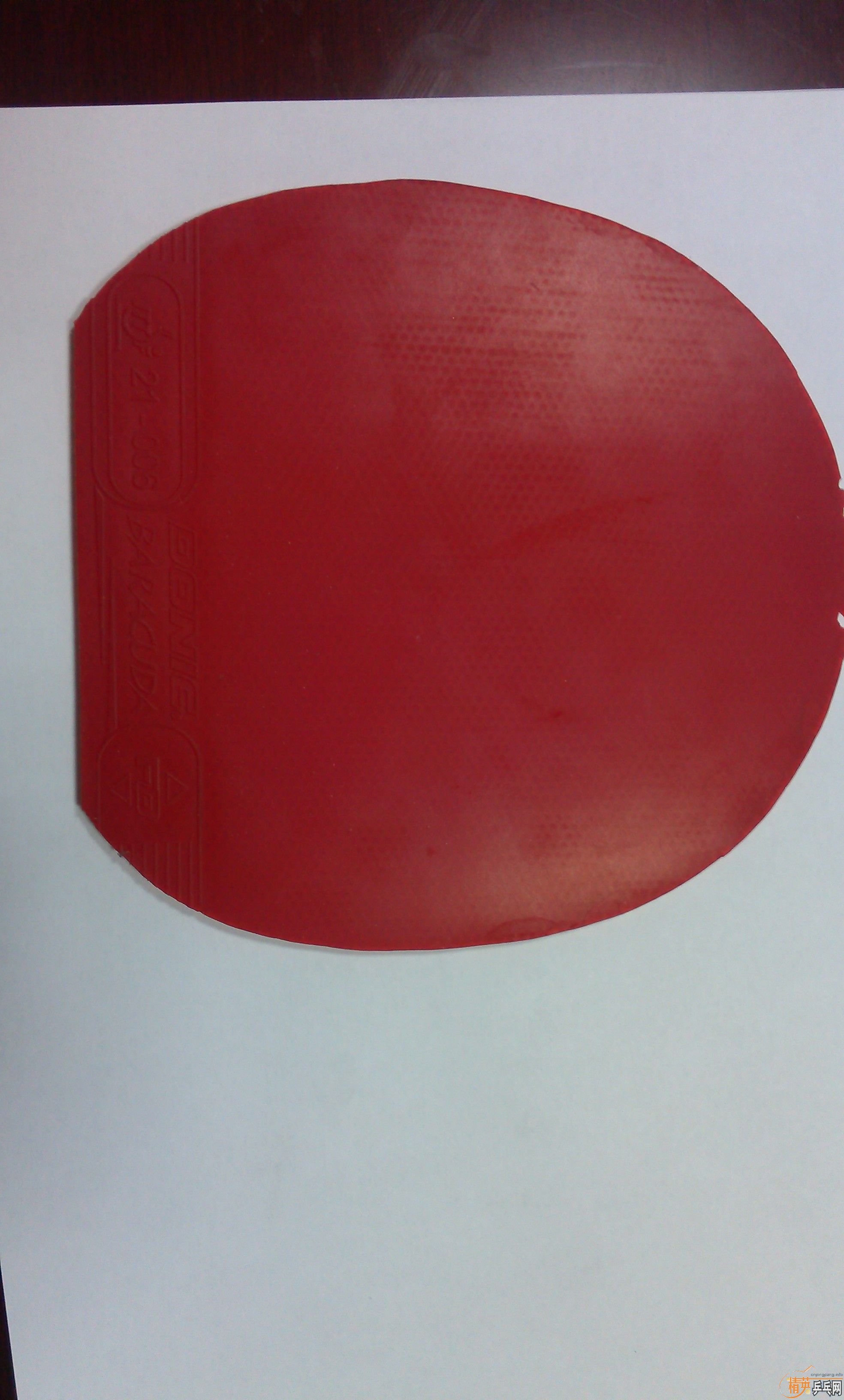 ������Բ�����Ǵ���Ӿ������������һ�Ž��ͺ�V,440Ԫ����