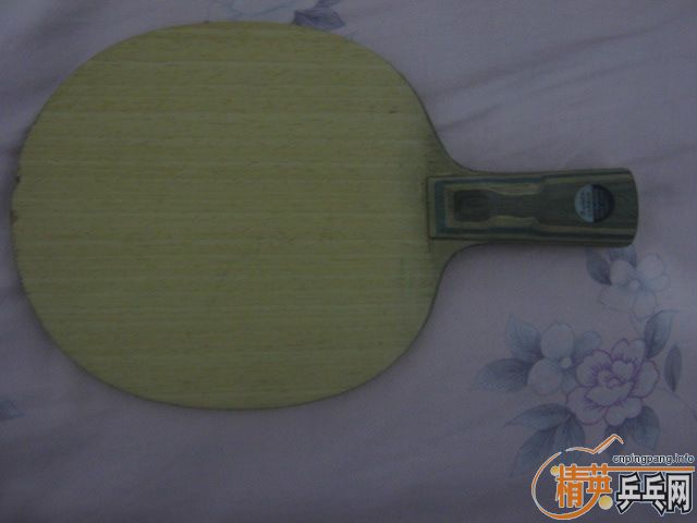 �������ƺ�����1300Ԫ