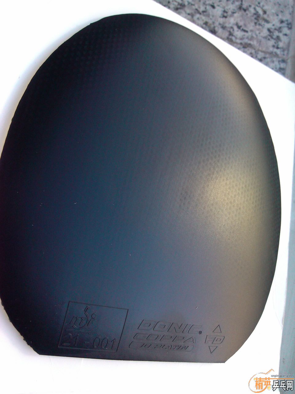 ºŷ5 tour max9²JOmax