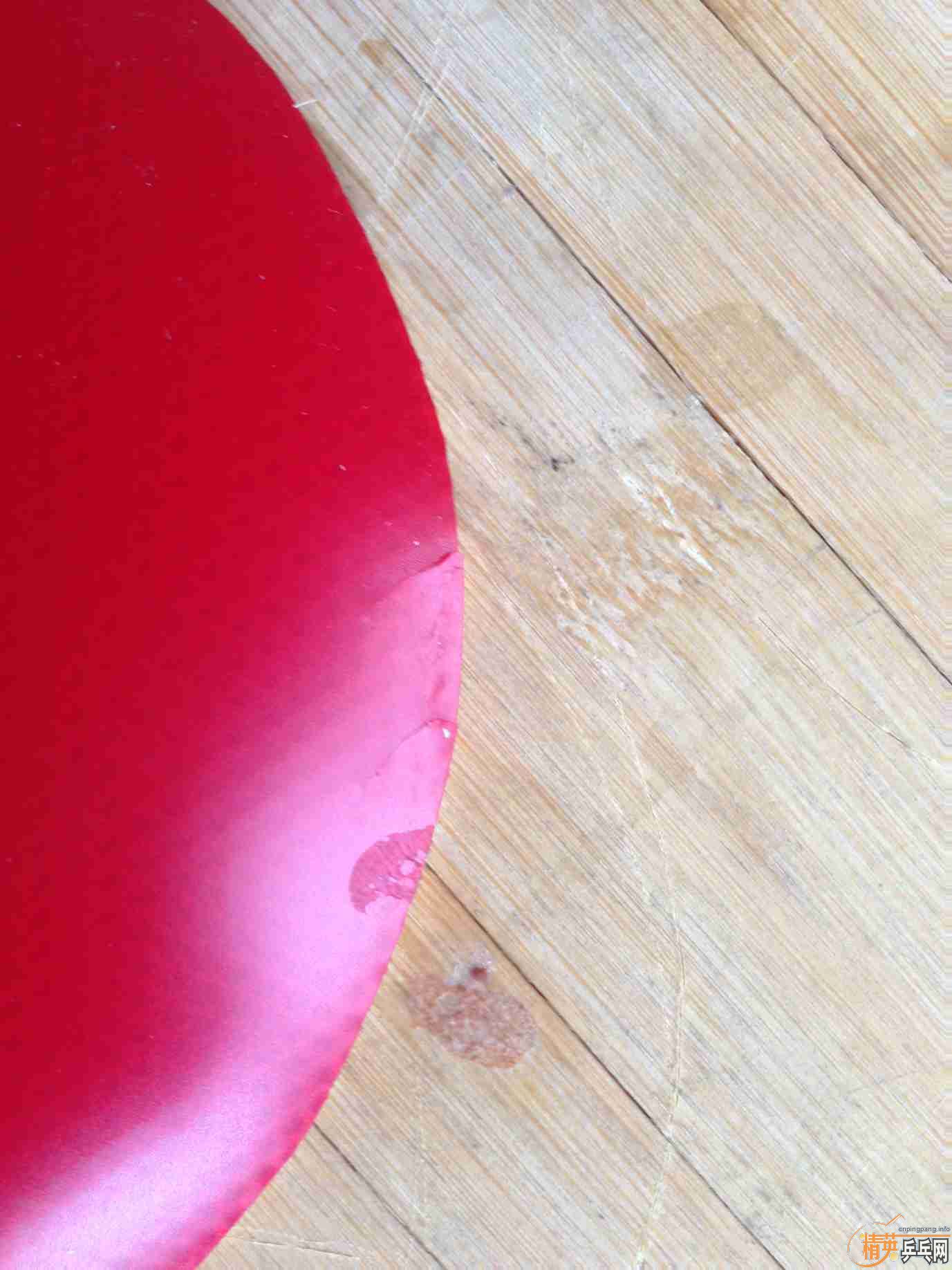 ���׽�ʮ�־���F1��������˹����FX