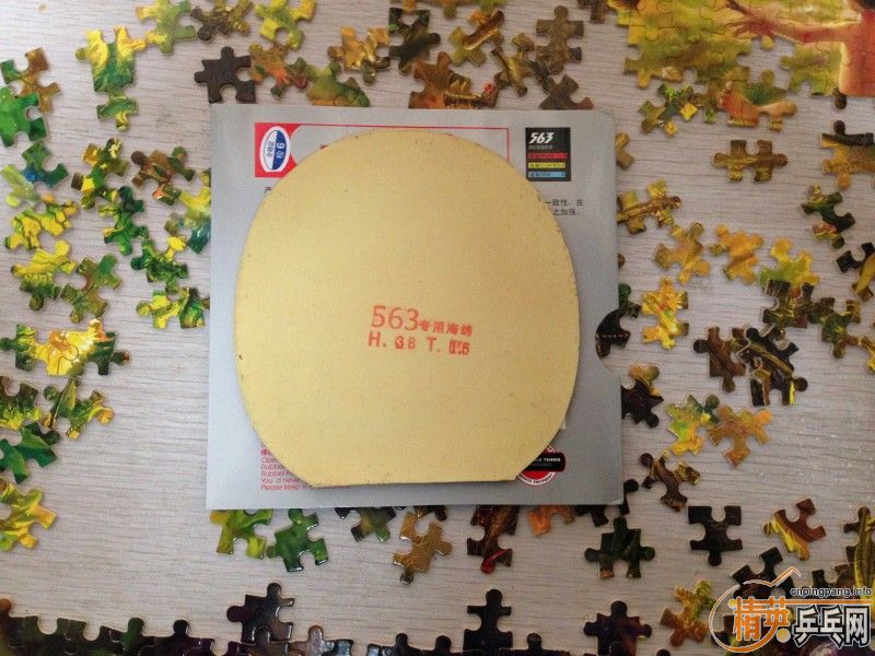 [ԭ��]�����ſ�����Ƥ��tsp��563��c8