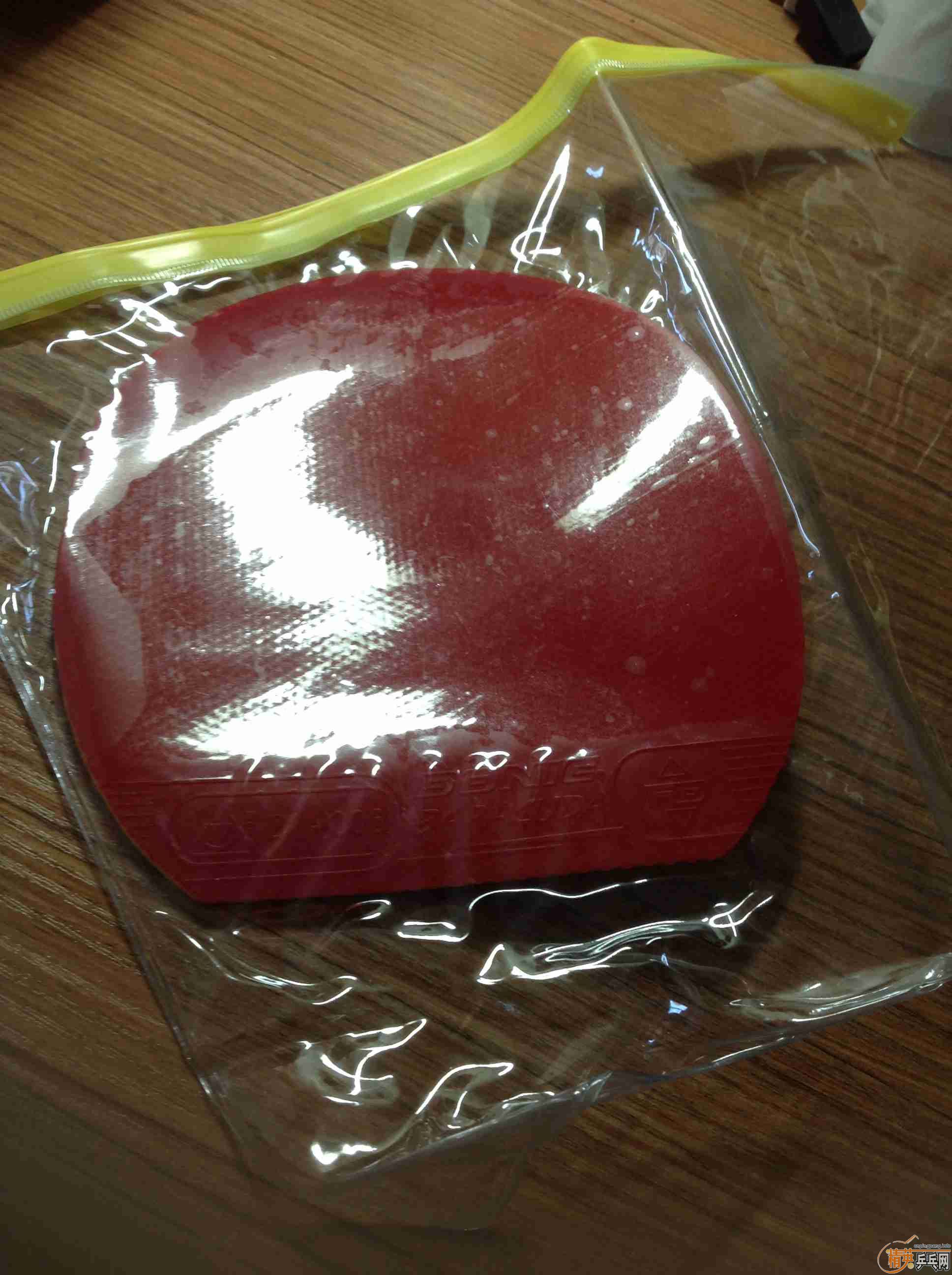 9����ŷ����5.4�װ�  F1/BARACUDA/��3+��3