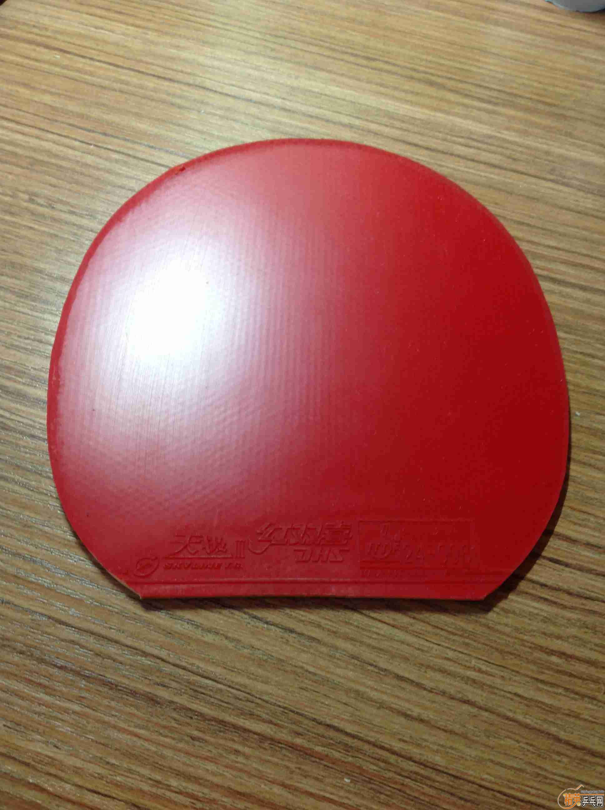 9����ŷ����5.4�װ�  F1/BARACUDA/��3+��3