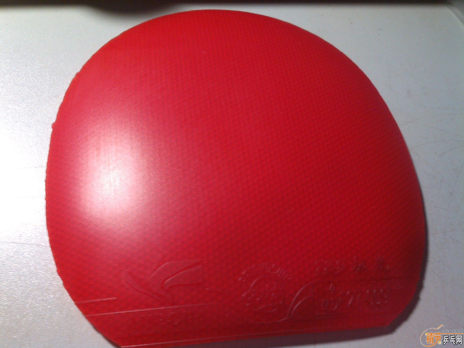 729 729-8 켫 ʡ  zap