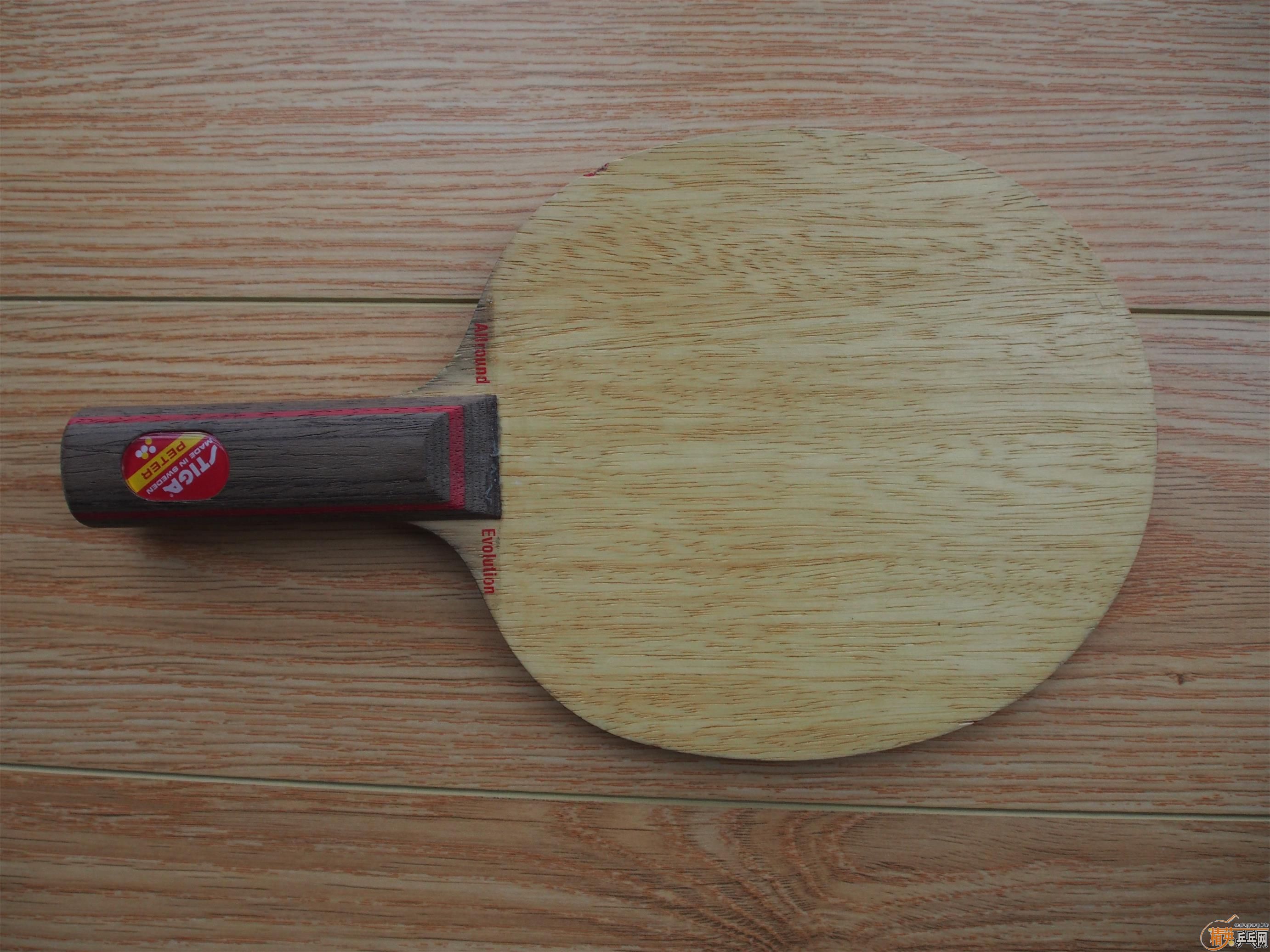 �����ֿ�2��FL��yasaka�Ʊ�AE ST��ʱ������ST