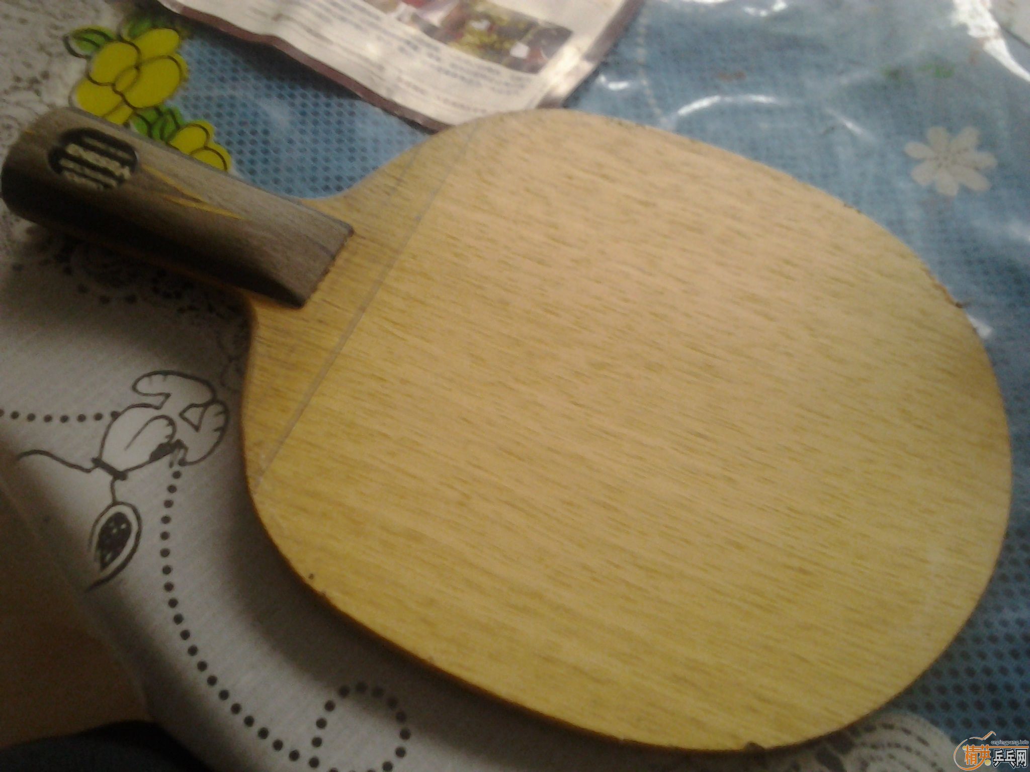 ������̼300��