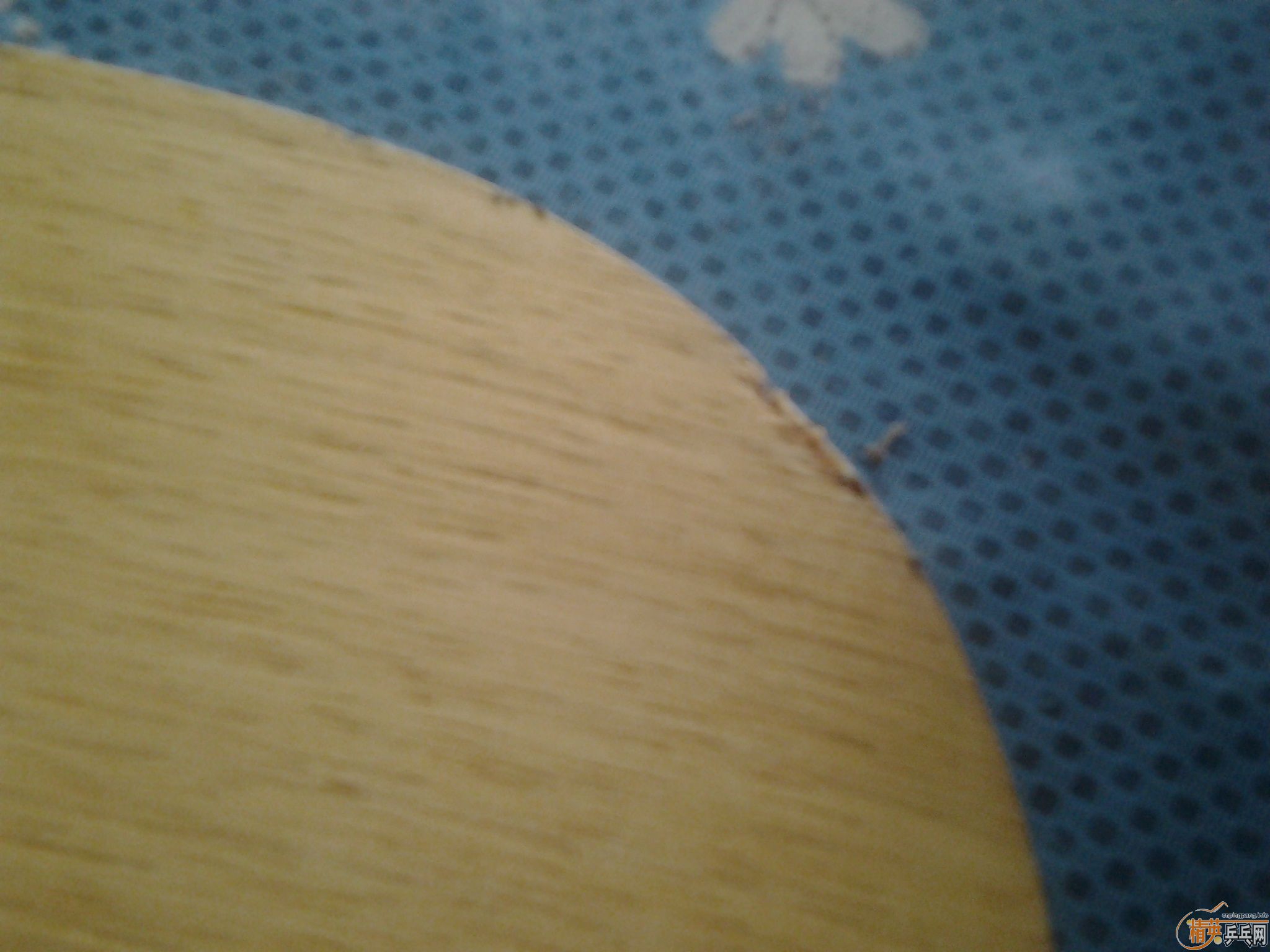 ������̼300��