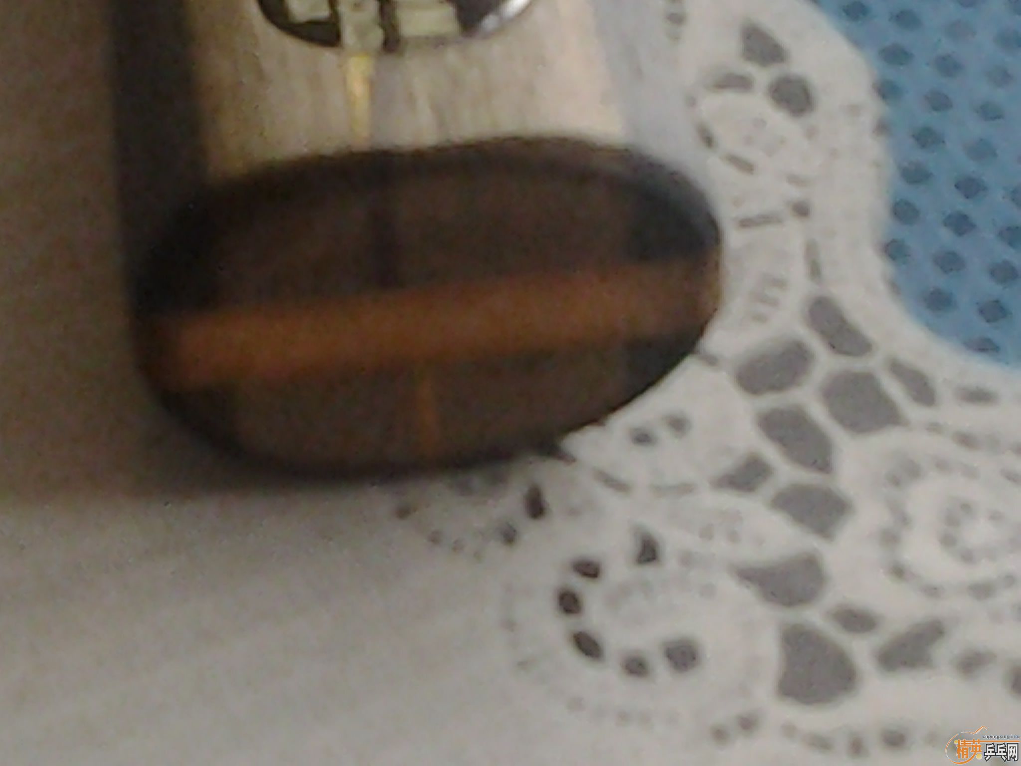 ������̼300��