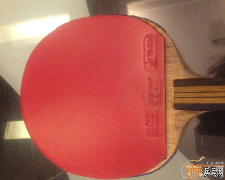 ֹ���˰ײ˼۳�������ľ�����������Ʊ�����˹�ۿ�CL�װ壬���н��ͺ�V����V��ŷ����4���칭3�׽���