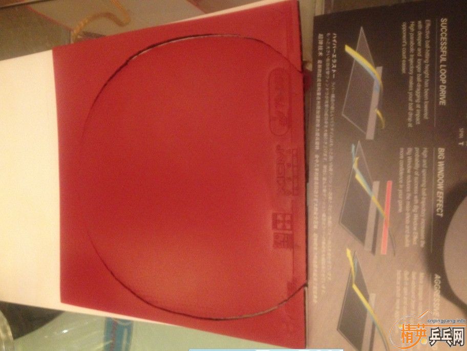 ֹ���˰ײ˼۳�������ľ�����������Ʊ�����˹�ۿ�CL�װ壬���н��ͺ�V����V��ŷ����4���칭3�׽���