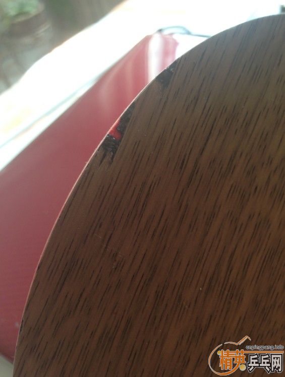 ������������̭�İ��ӡ������ż̿�AN���������հ��ڡ����Ʊ�˹�ٿ����꡷���켫506�������������