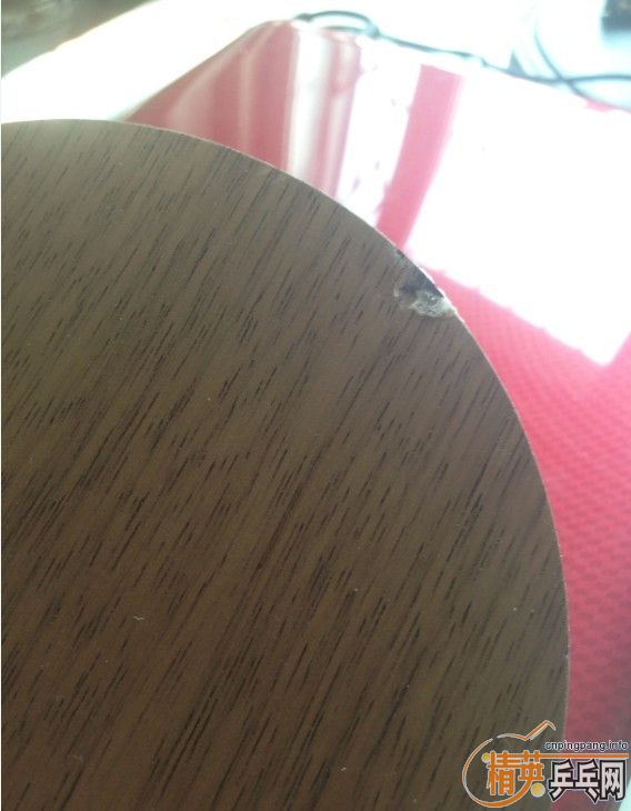 ������������̭�İ��ӡ������ż̿�AN���������հ��ڡ����Ʊ�˹�ٿ����꡷���켫506�������������