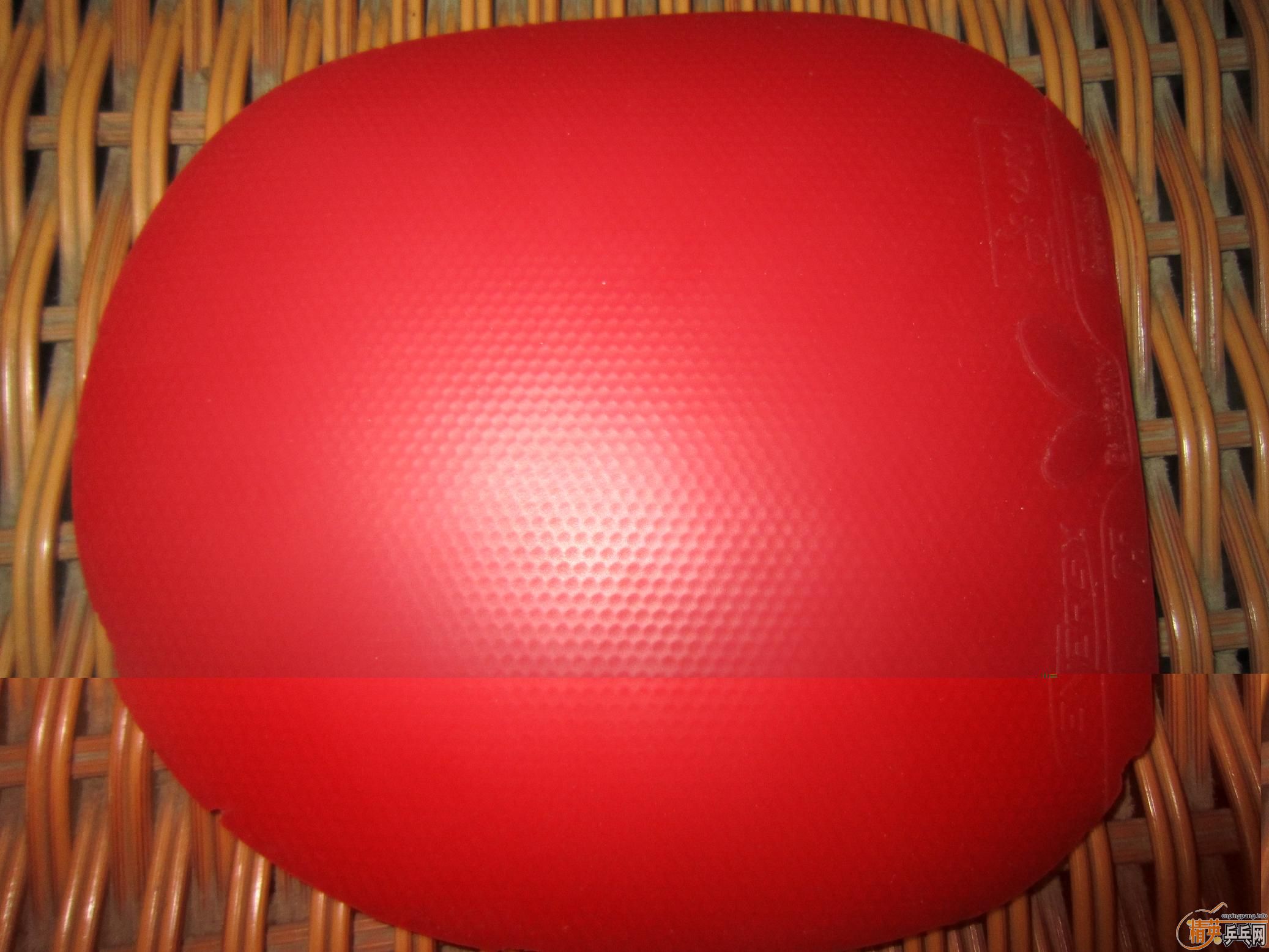 ������T05�׽���ɫ70Ԫ���� ��ɫ�Լ���