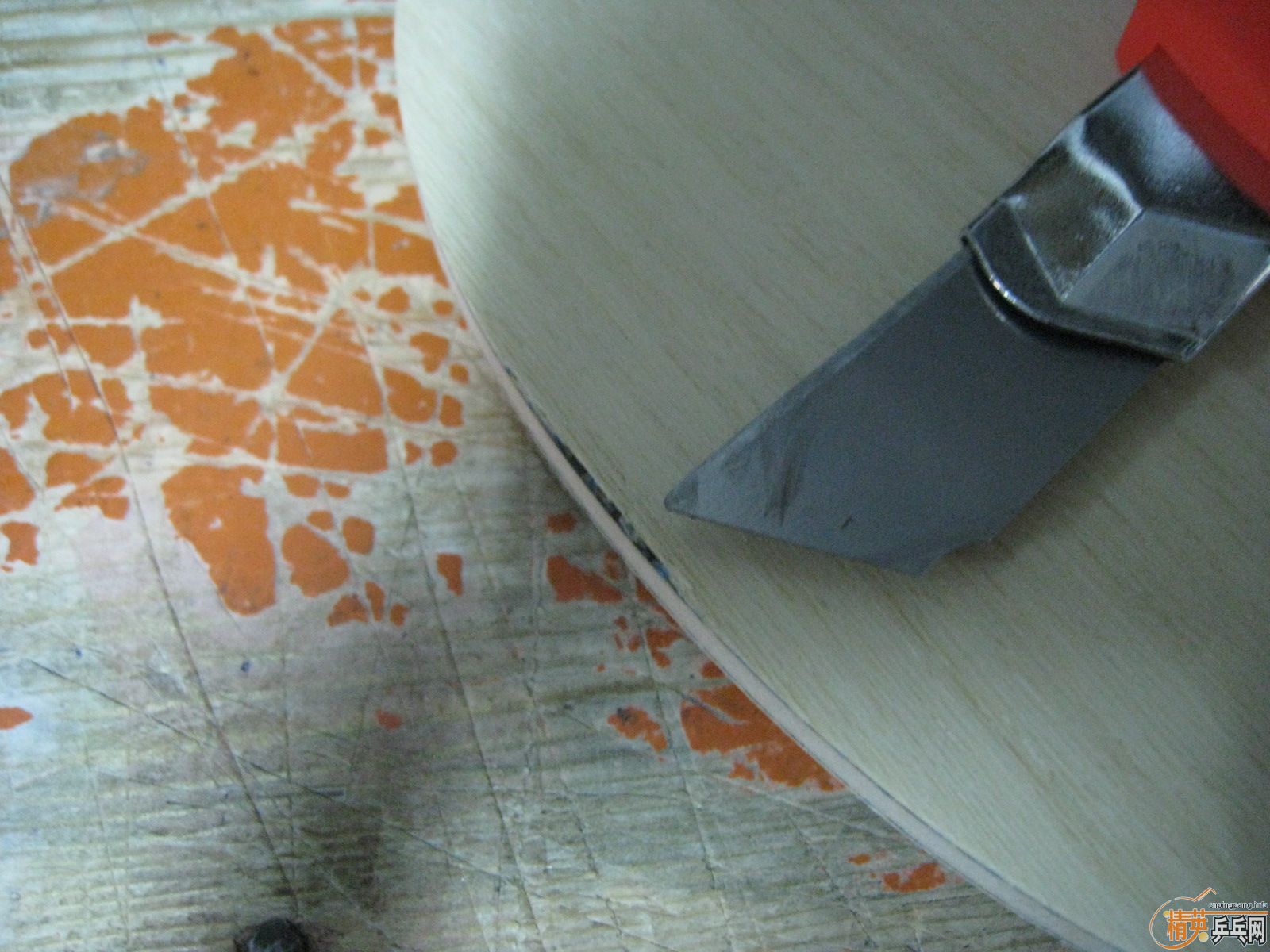 �����ѳ�һ������FL  ��С���� �հ�