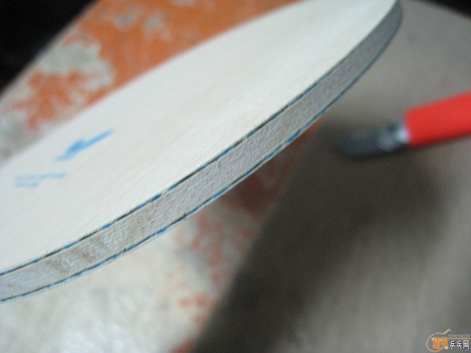 �����ѳ�һ������FL  ��С���� �հ�