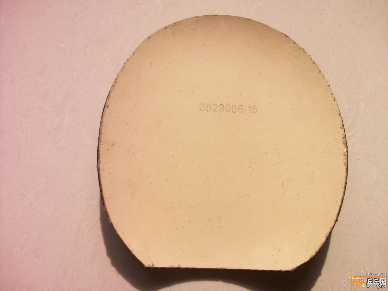 �� ���齺Ƥ ������