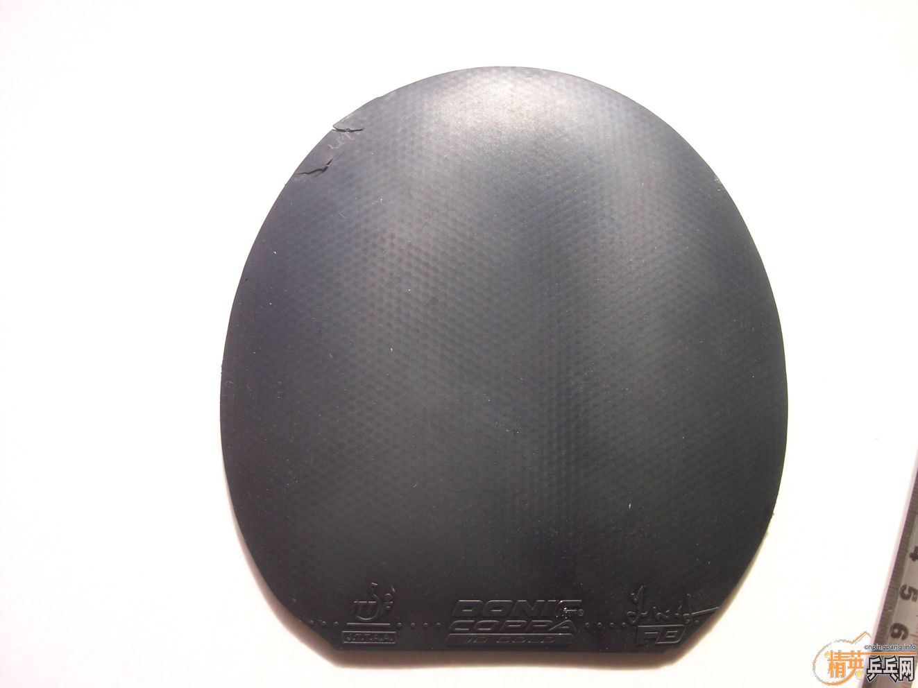 �� ���齺Ƥ ������