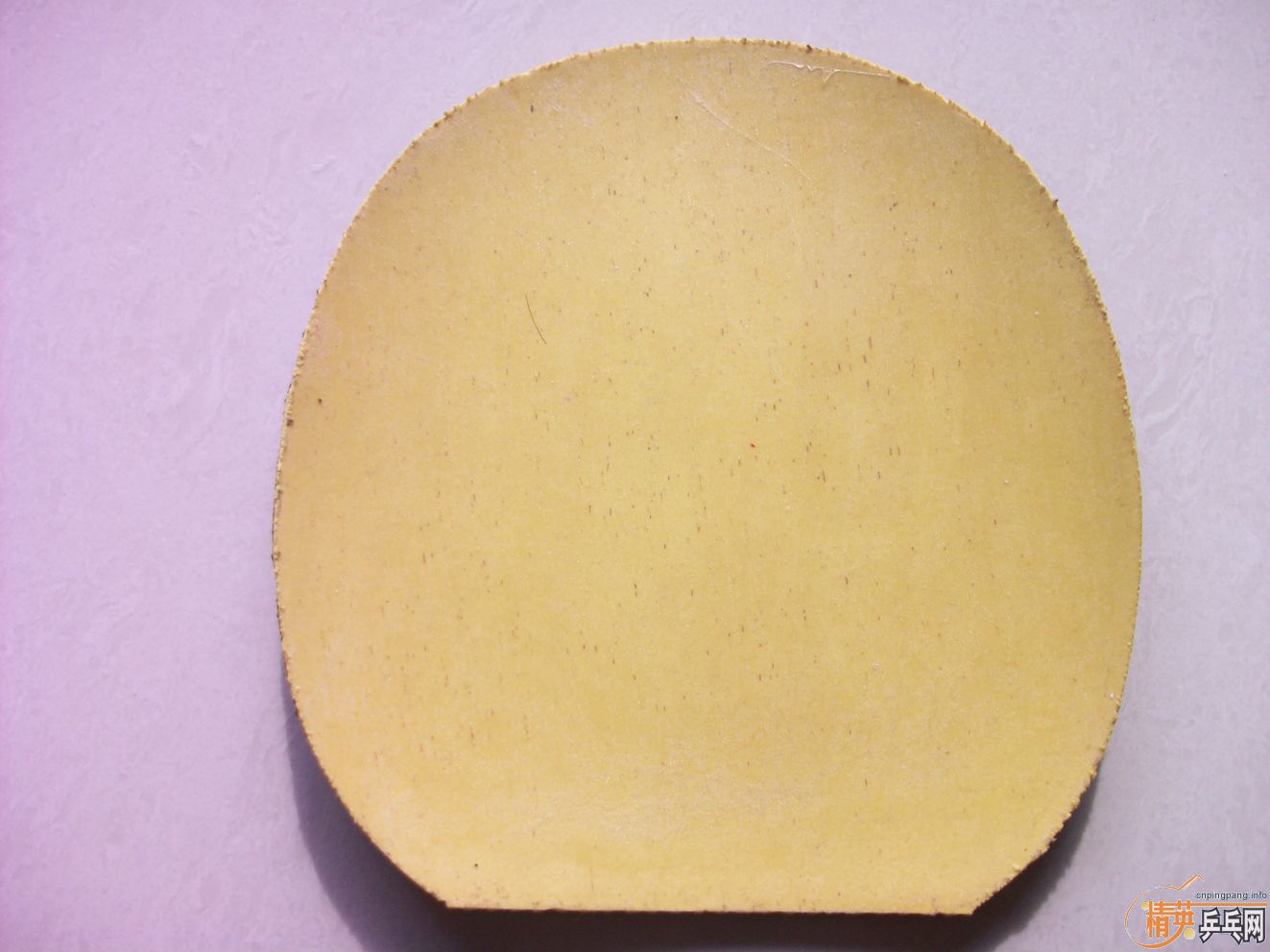 �� ���齺Ƥ ������