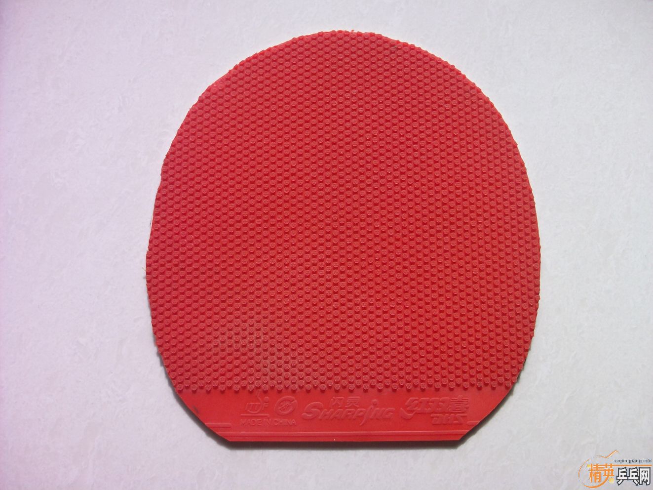 �� ���齺Ƥ ������