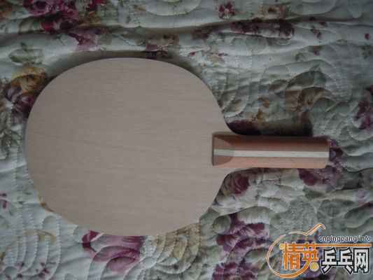 ��Ϊ��Ƥ��ȱ�����Գ����õ�JOOLA TONYHOLD �����¿�ST����һ��C8�����׽���������ղ�Ʒ��ע������ST����ԭ�У����ձ�����˵��