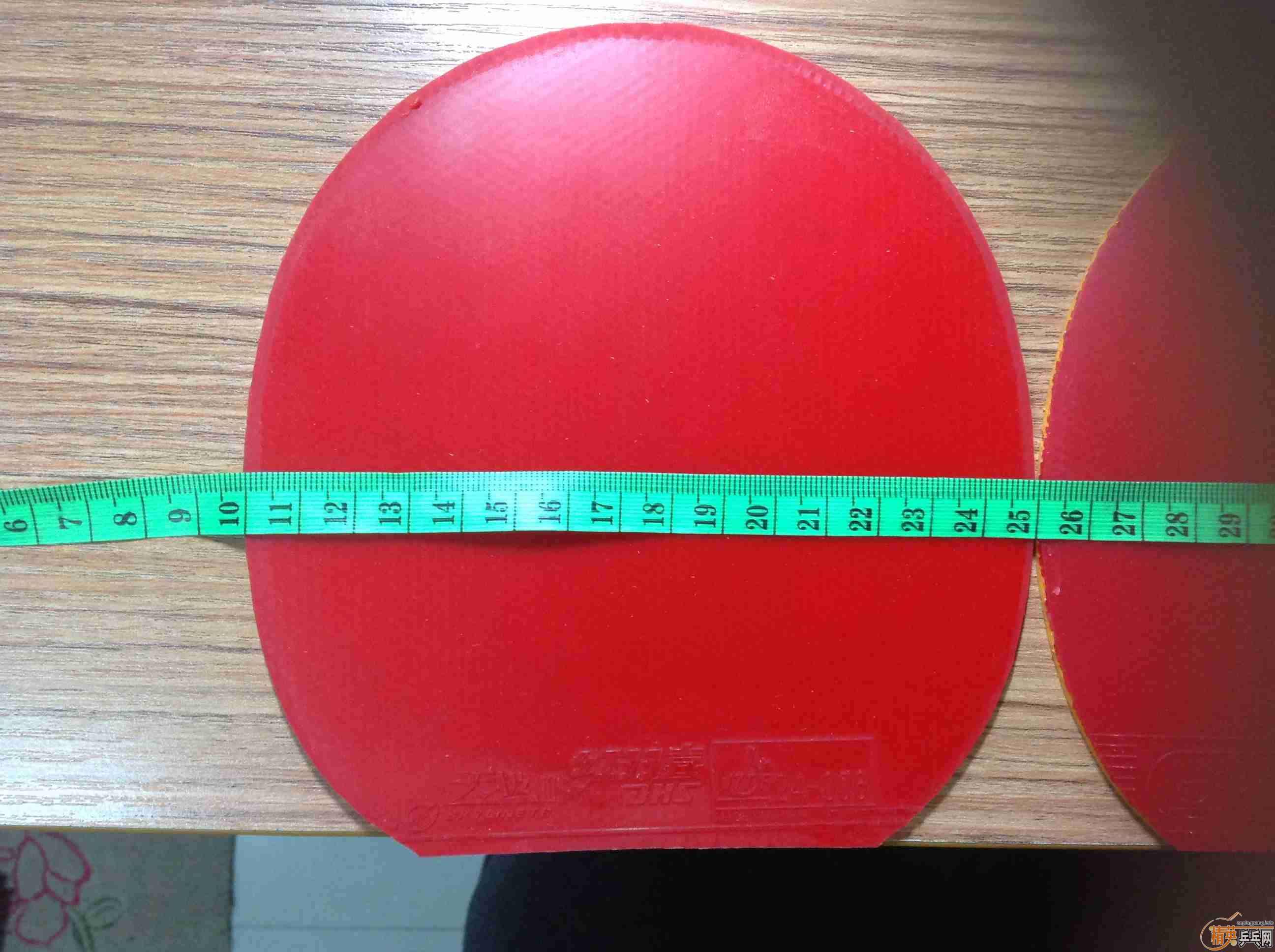 [���]F1/BARACUDA/��3+��3