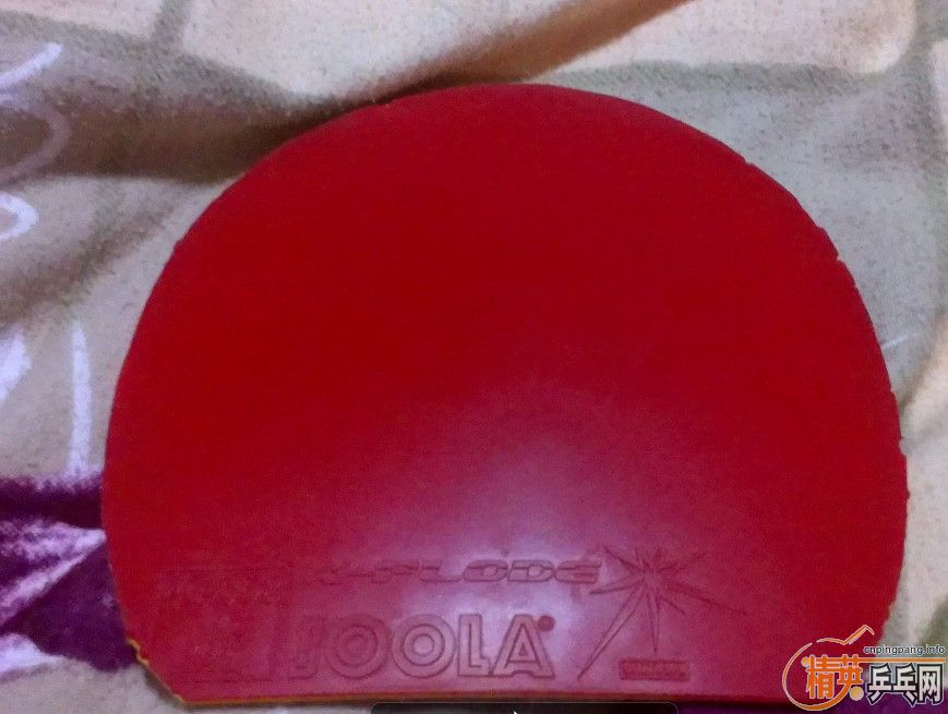 ��12��16�ճ�����ʵ�ݽ�Ƥ����塢��������������ɫ�����£�