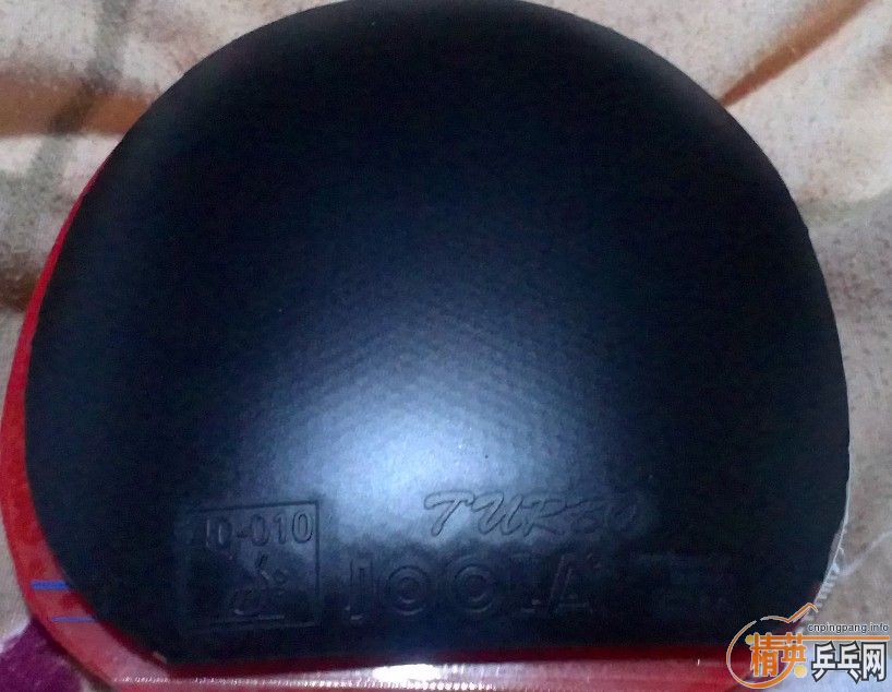 ��12��16�ճ�����ʵ�ݽ�Ƥ����塢��������������ɫ�����£�