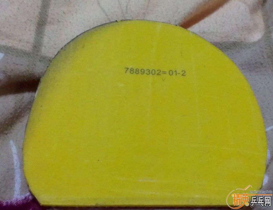 ��12��16�ճ�����ʵ�ݽ�Ƥ����塢��������������ɫ�����£�