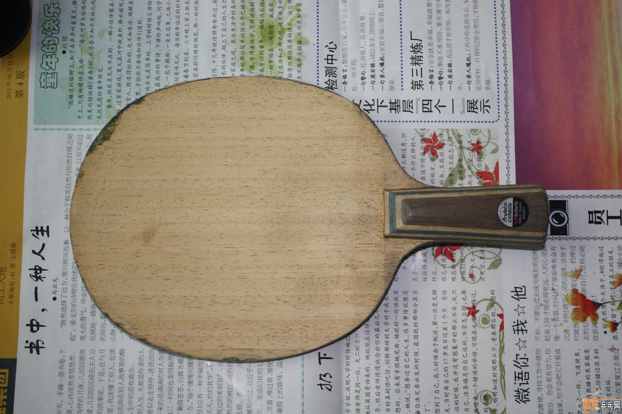 ���������������������ƺ����2