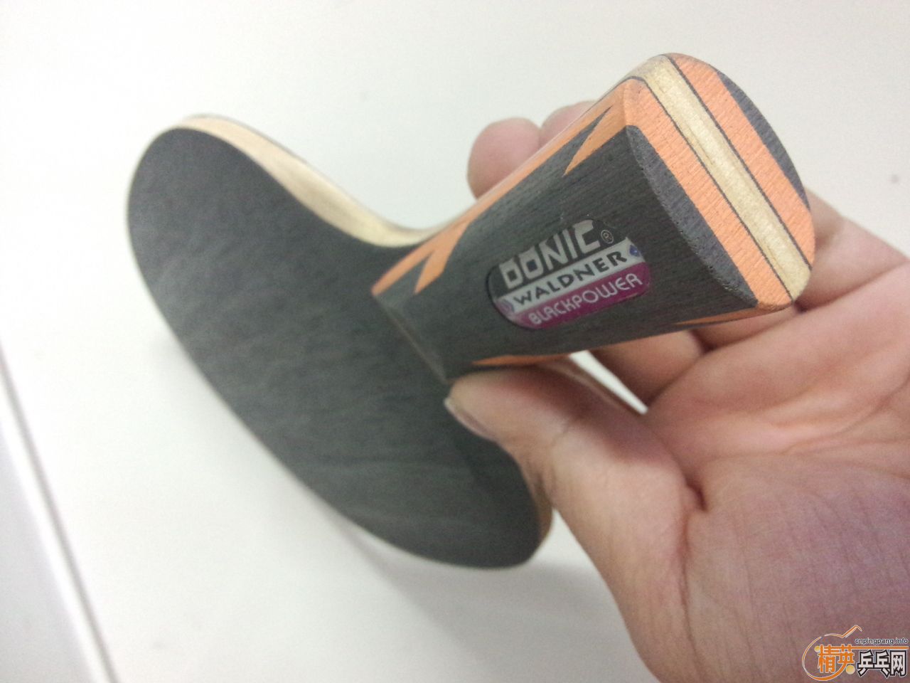 ������ֱ��δ����ϣ�����ᱼ��ֱ����