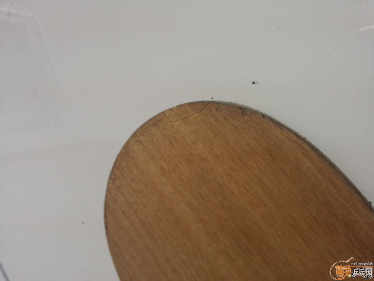 ������ֱ��δ����ϣ�����ᱼ��ֱ����