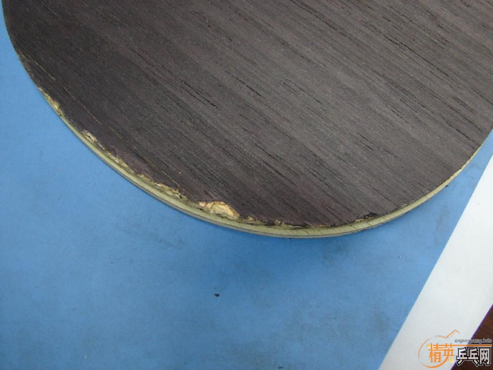 ���ӱ��ĵϿ�������