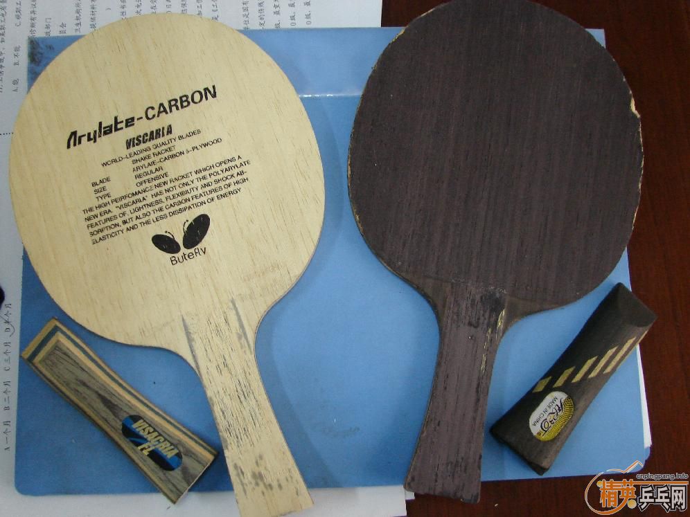 ���ӱ��ĵϿ�������