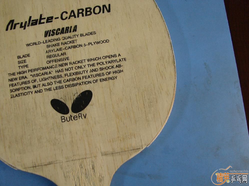 ���ӱ��ĵϿ�������