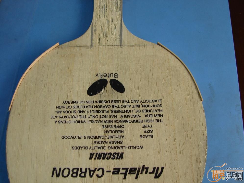 ���ӱ��ĵϿ�������