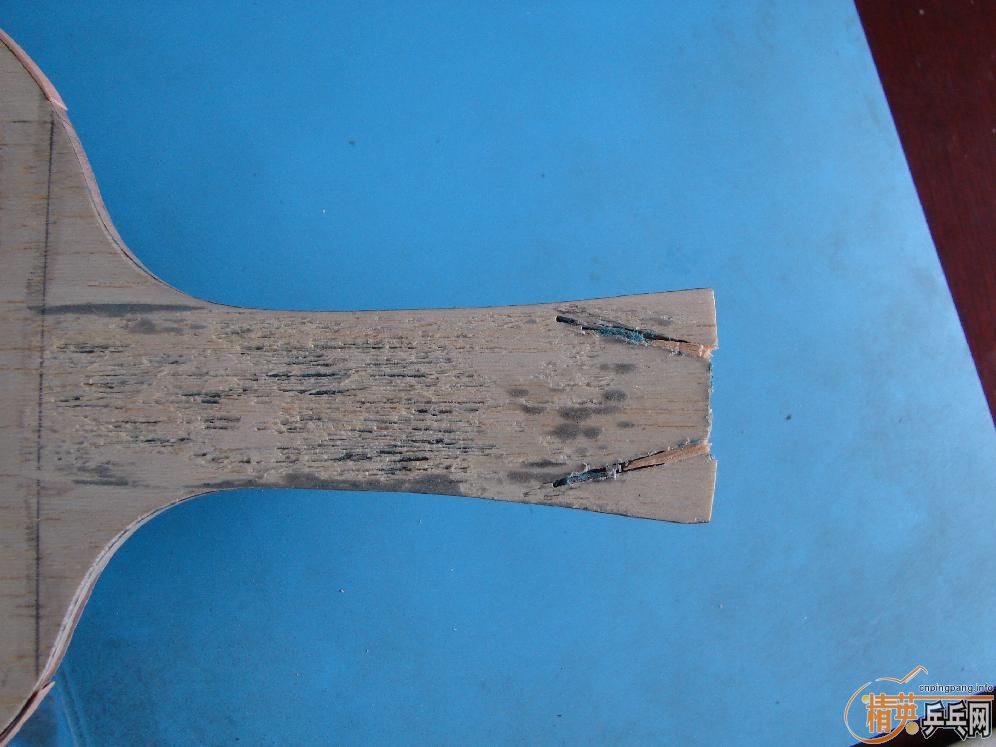 ���ӱ��ĵϿ�������