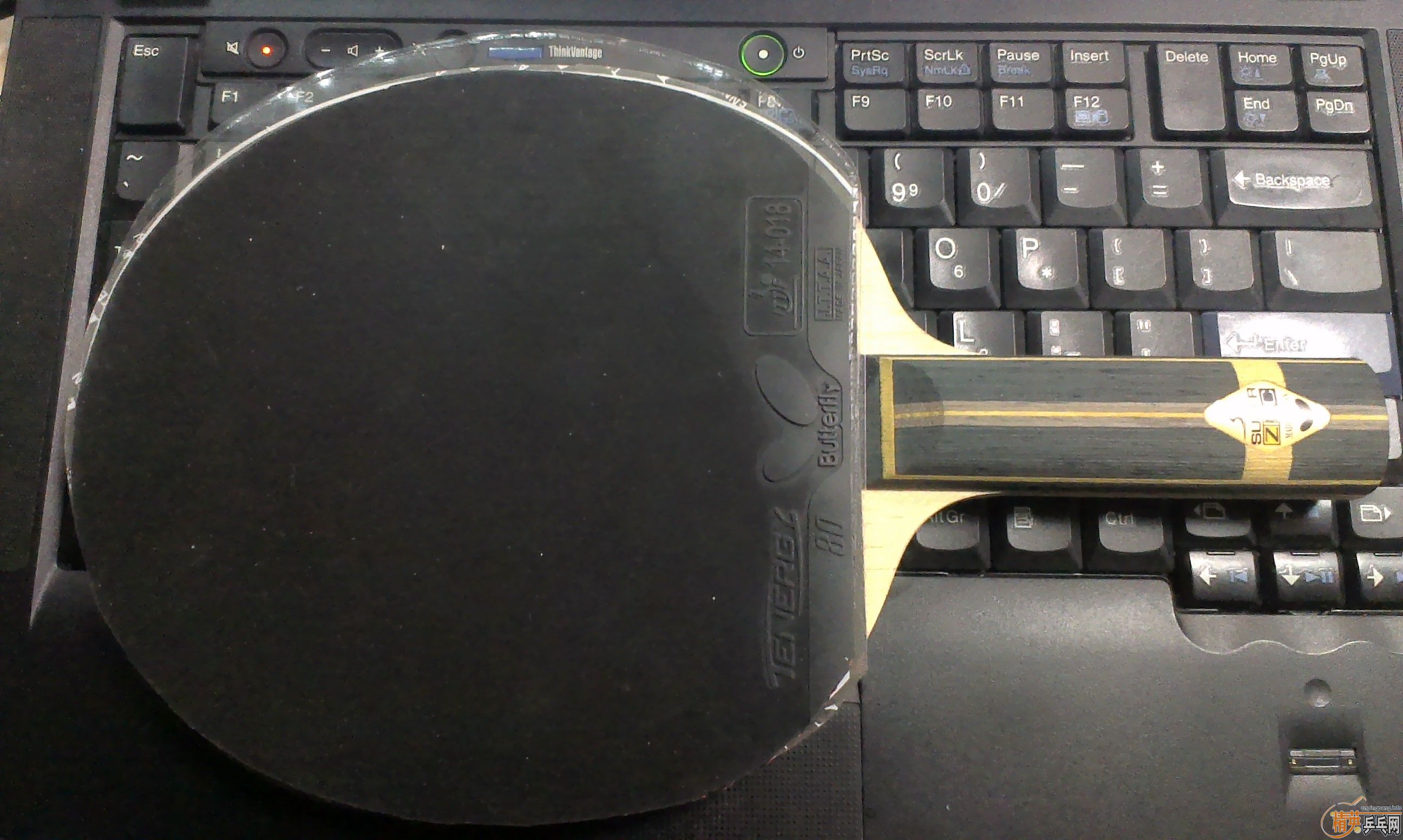 200���ʳ���9��1.9mm ��ɫT80�׽�