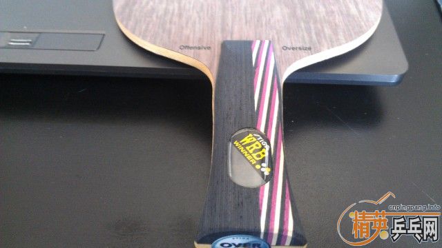 �������ղصİ��� �Ʊ���ּӴ�OC��