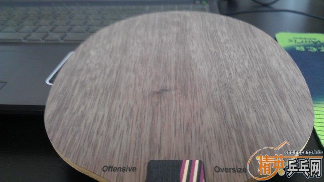 �������ղصİ��� �Ʊ���ּӴ�OC��