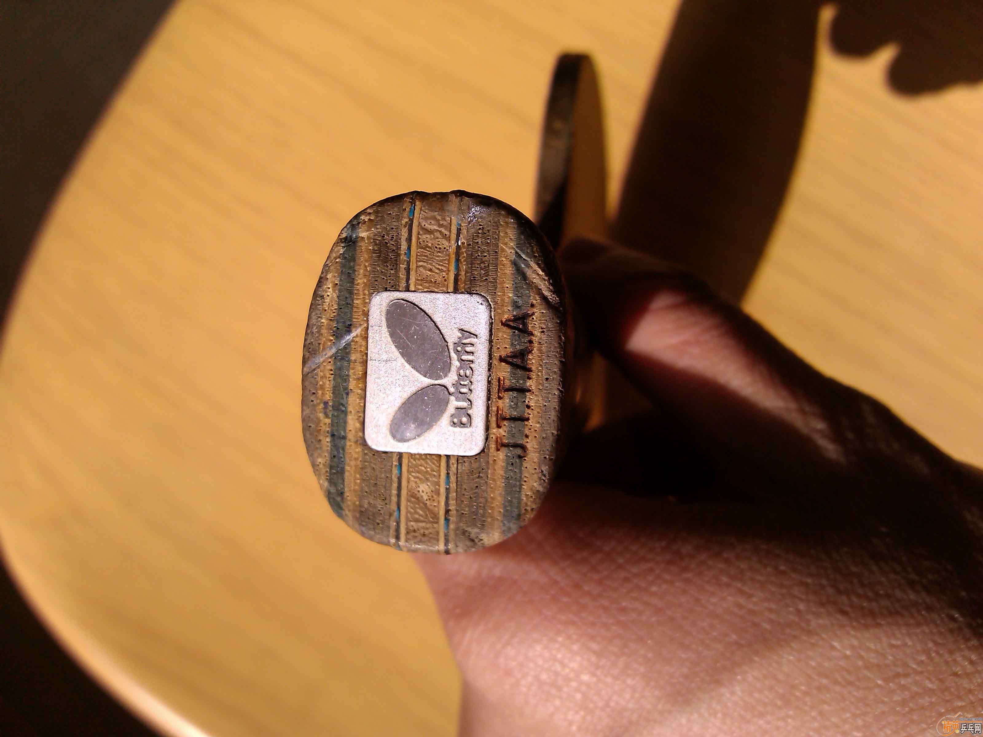 [ԭ��]������[һҶ��Ʒ]����������VIS�����µ�TBS��FL�������߶�ֱ�ģ��ո��ֺ���