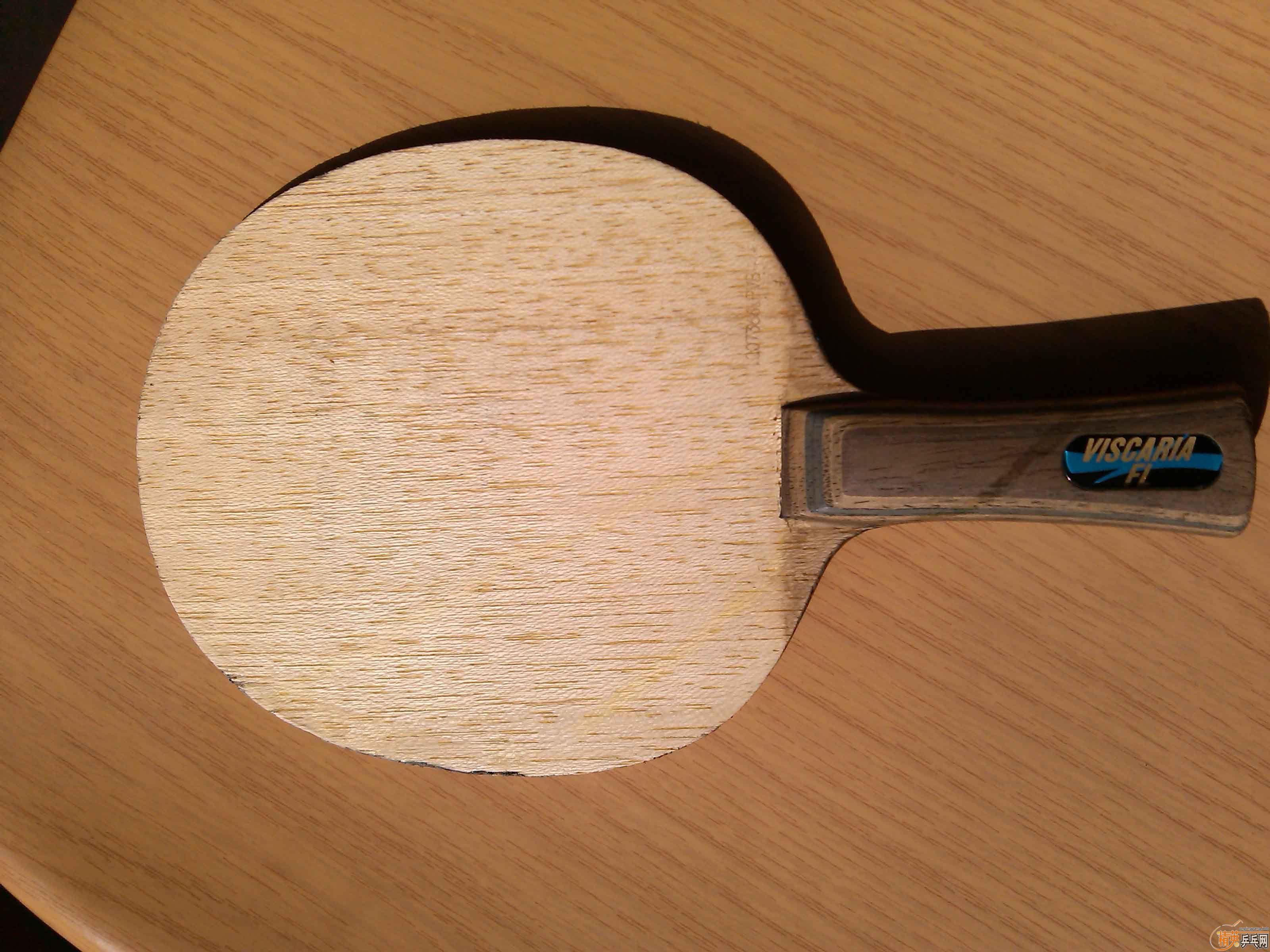 [ԭ��]������[һҶ��Ʒ]����������VIS�����µ�TBS��FL�������߶�ֱ�ģ��ո��ֺ���