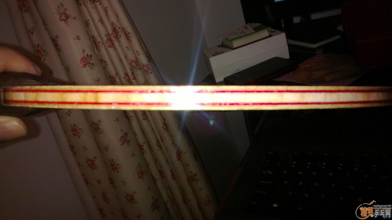 ����2��ʡѵ