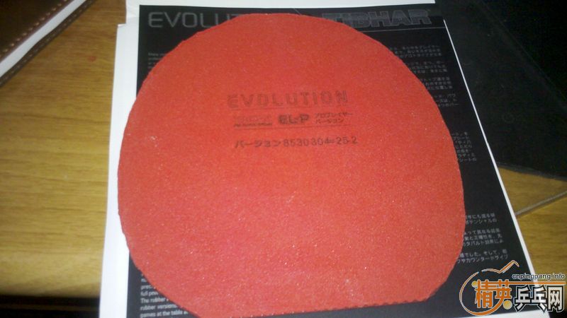 �����Сʱ��ͦ��elp��ͬ�ȳ�ɫ1qxd