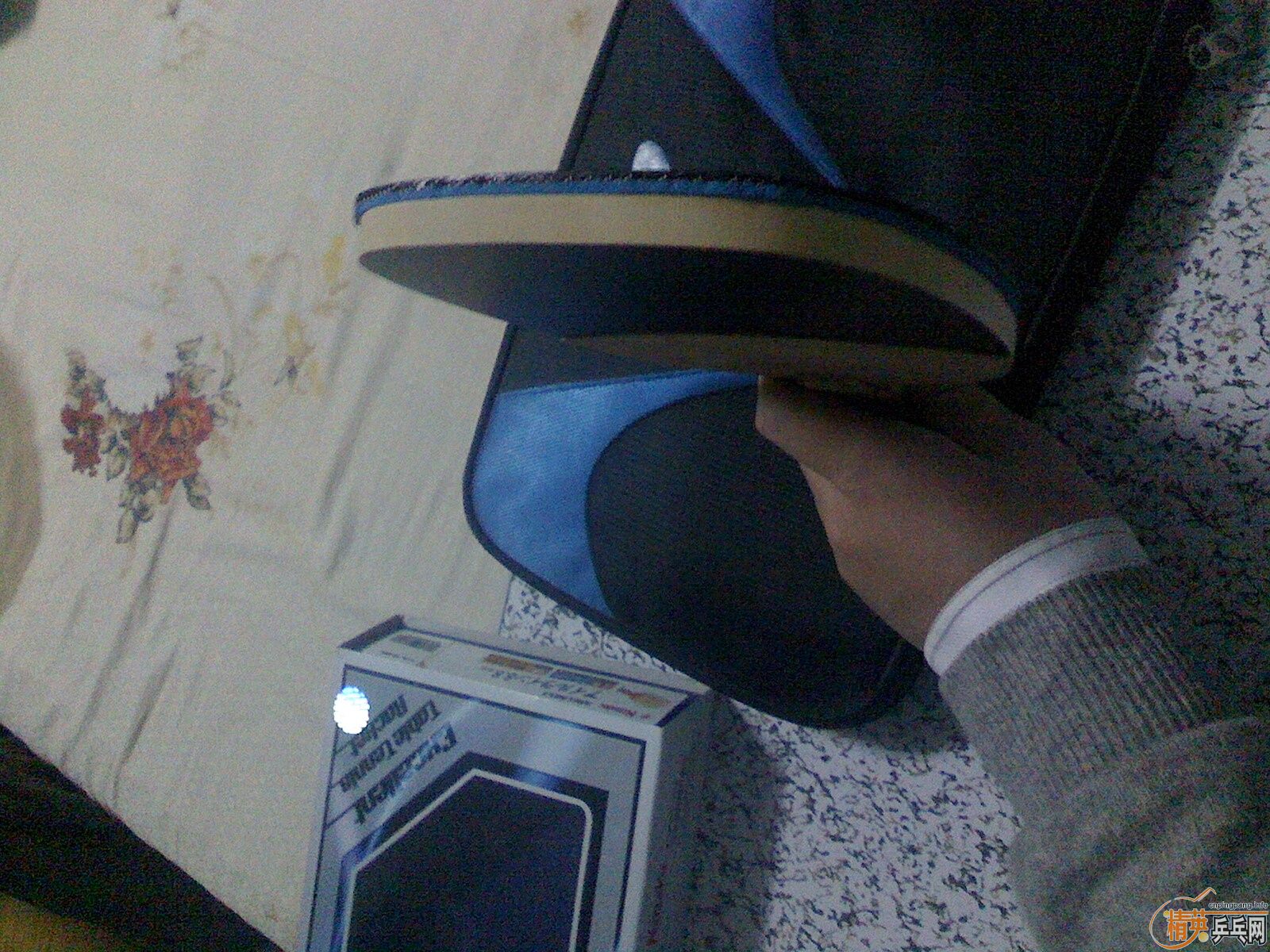 �����ż���ֱ��������airuline