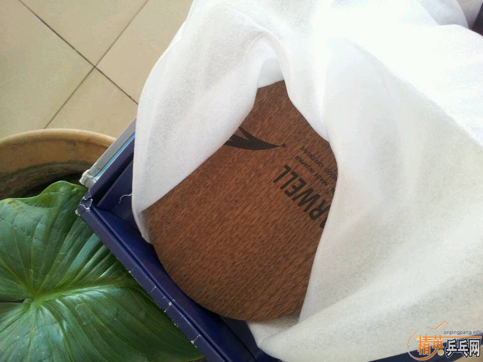 ������ ST������